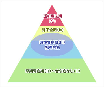 傷病管理システム （特許第5203481号）